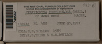 Image Associated With the Occurence